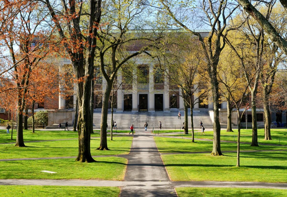 Elite Universitäten für Jura